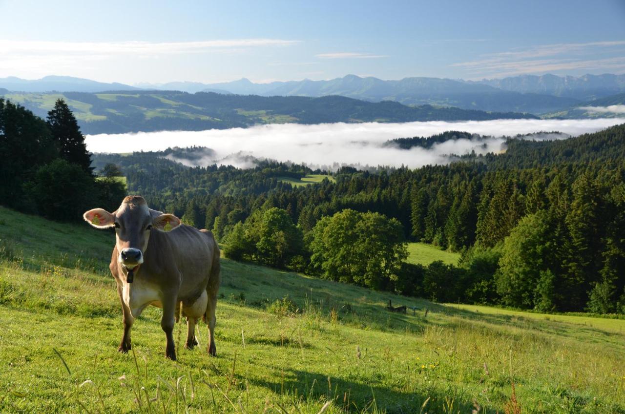 Alpenrose Fam Holzhauer Sen * Scheidegg